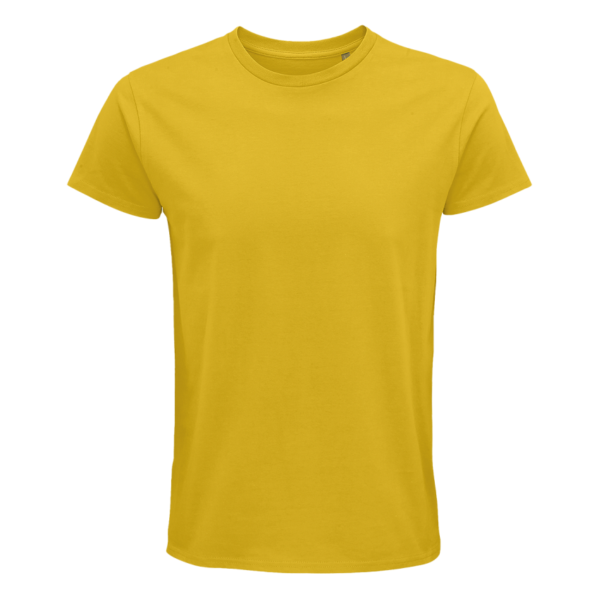 SOLs Pioneer Gold